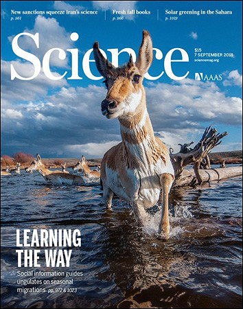 Science – 7 September 2018