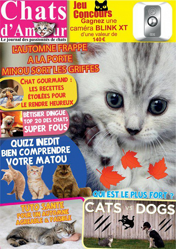 Chats D’Amour - N.57 2018