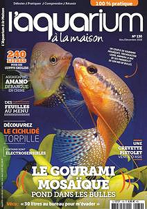 l’Aquarium à la Maison - Novembre-Décembre 2018