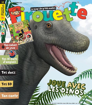 Pirouette - Novembre 2018