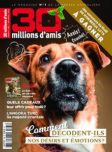 30 Millions d’Amis – Décembre 2018
