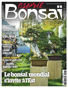Esprit Bonsai - Décembre 2018 - Janvier 2019