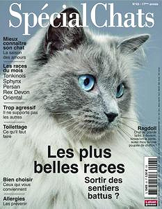 Spécial Chats - Février-Avril 2019