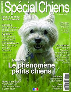 Spécial Chiens - Février-Avril 2019