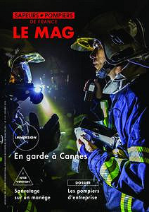 Sapeurs-Pompiers de France - Février 2019