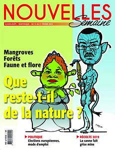 Nouvelles Semaine - 15 Février 2019