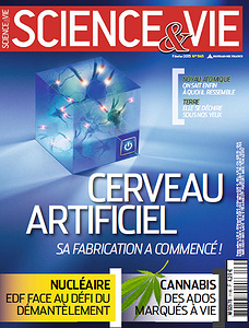 Science & Vie N°1145 - Février 2013