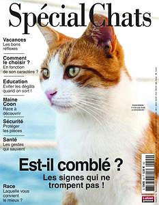 Spécial Chats - Avril 2019