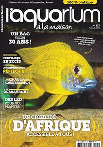 l’Aquarium à la Maison - Mai-Juin 2019
