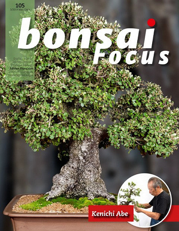 Bonsai Focus N°105 - Mai-Juin 2019