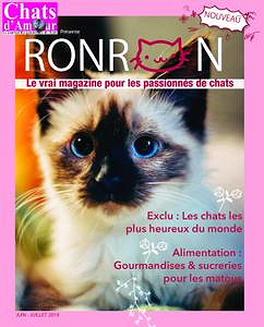 Chats d’Amour - Juin-Juillet 2019