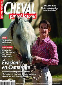 Cheval Pratique - Juillet 2019