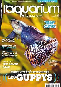 l’Aquarium à la Maison - Juillet-Août 2019