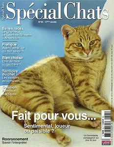 Spécial Chats - Août-Octobre 2019