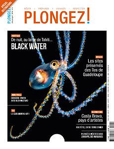 Plongez ! - Août 2019