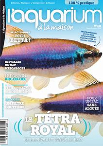 l’Aquarium à la Maison - Septembre-Octobre 2019