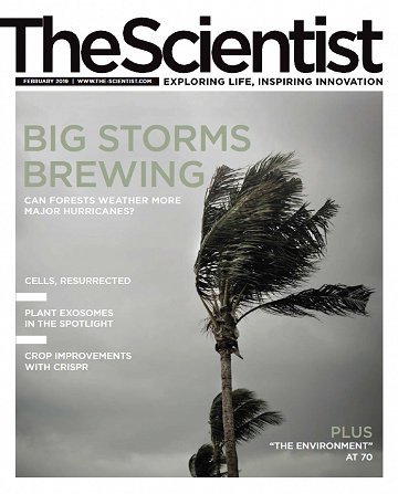 The Scientist - February 2019