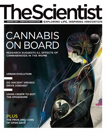 The Scientist - January 2019