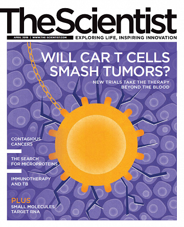The Scientist - April 2019