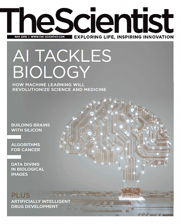 The Scientist - May 2019