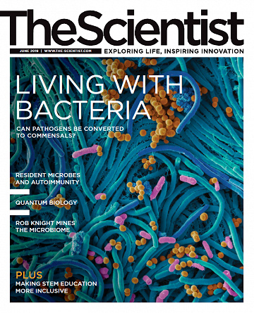The Scientist - June 2019