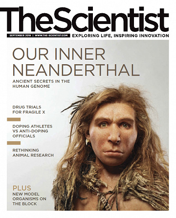 The Scientist - September  2019