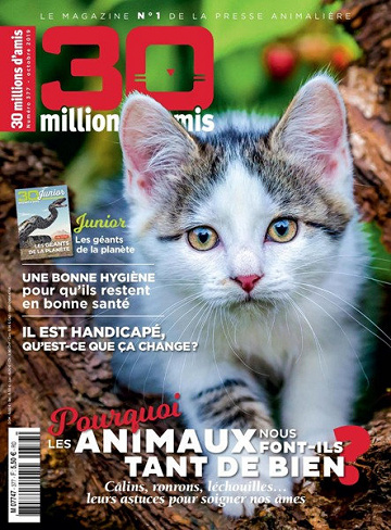 30 Millions d’Amis - Octobre 2019
