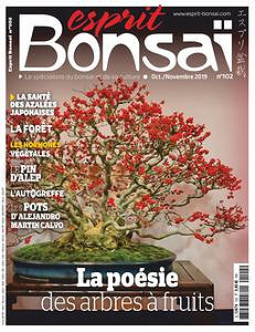 Esprit Bonsai - Octobre-Novembre 2019