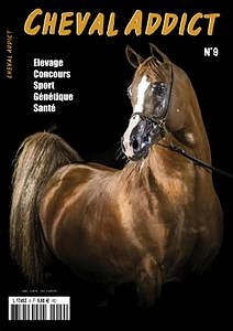 Cheval Addict France - N.9 2019