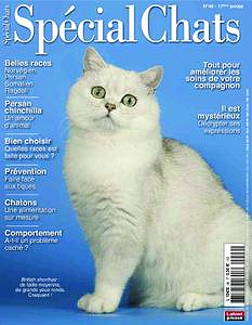 Spécial Chats - Novembre 2019 - Janvier 2020