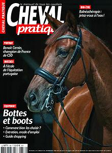 Cheval Pratique - Novembre 2019