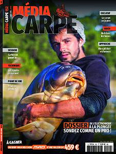 Media Carpe - Novembre-Décembre 2019