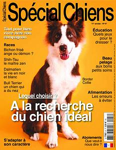 Spécial Chiens - Novembre 2019 - Janvier 2020