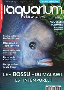 l’Aquarium à la Maison - Novembre-Décembre 2019