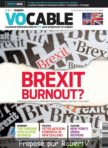 Vocable Anglais N°813 - 28 Novembre au 11 Décembre 2019
