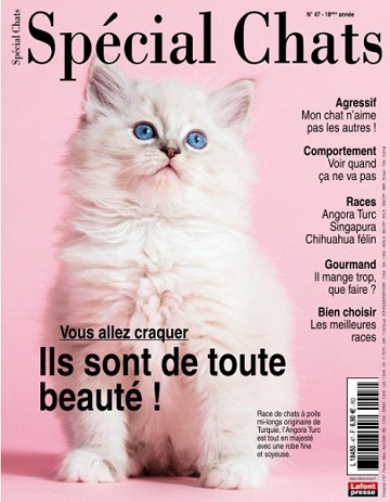 Spécial Chats - Février-Avril 2020