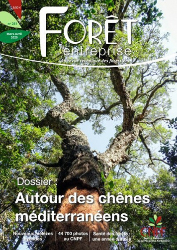 Forêt Entreprise - Mars-Avril 2020