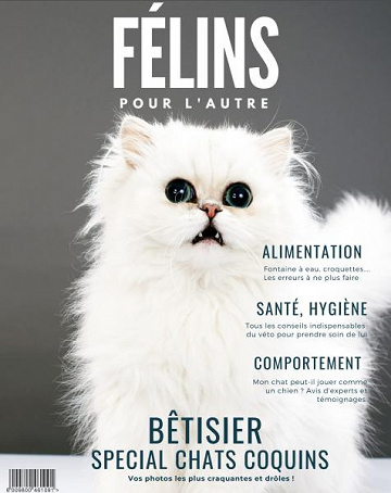 Félins Pour L’autre - N°1 2020