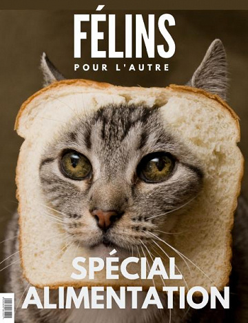 Félins Pour L’autre - N°2 2020