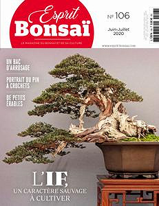 Esprit Bonsai - Juin-Juillet 2020