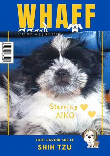 Whaff N°4 - Juin 2020