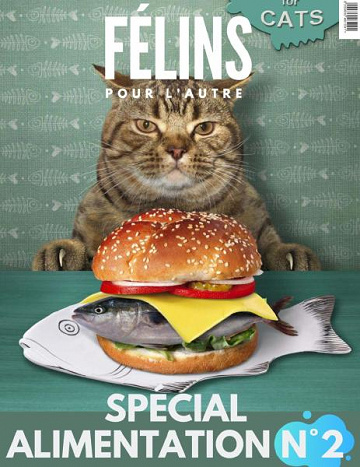 Félins Pour L’autre - N°4 2020