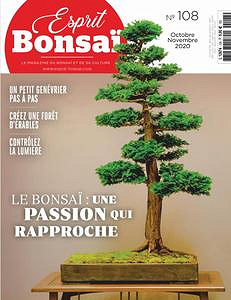 Esprit Bonsai - Octobre-Novembre 2020