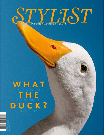 Stylist N°281 - 13 Février 2020