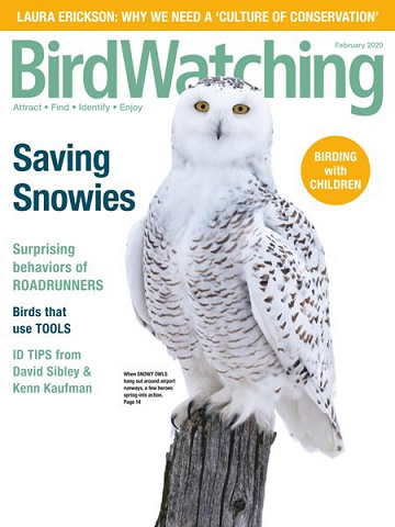 BirdWatching USA - January-February 2020