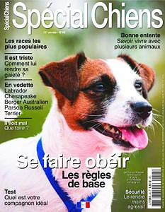 Spécial Chiens - Mai-Juillet 2019