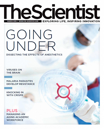 The Scientist - March 2019