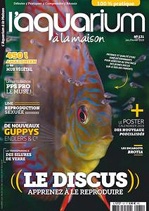 l’Aquarium à la Maison - Janvier-Février 2019