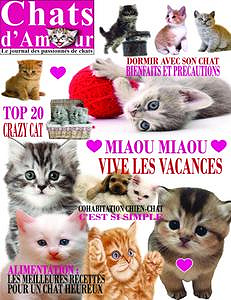 Chats d’Amour - Juillet 2018