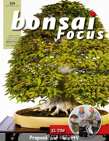 Bonsai Focus N°104 - Mars-Avril 2019